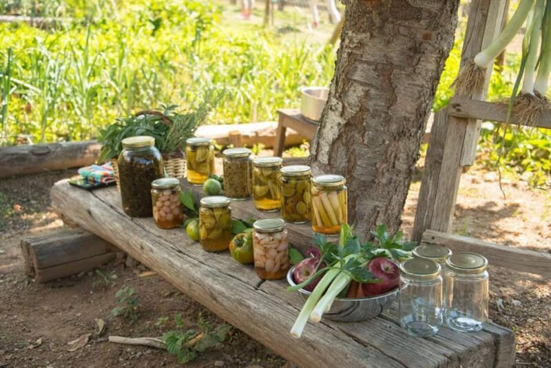 Pelion Private Nature Experience : Farm-to-Table Cooking - Final Thoughts on the Pelion Farm-to-Table Experience