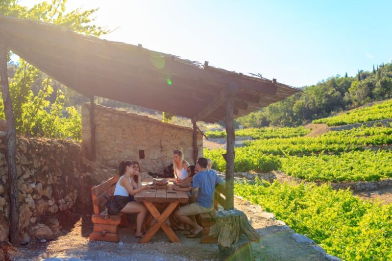 Peljeac Full-Day Wine and Food Tour from Dubrovnik - An In-Depth Look at the Peljeac Tour Experience