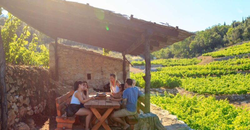 Peljeac Full-Day Wine and Food Tour from Dubrovnik - Authenticity and Reviews: What Others Say