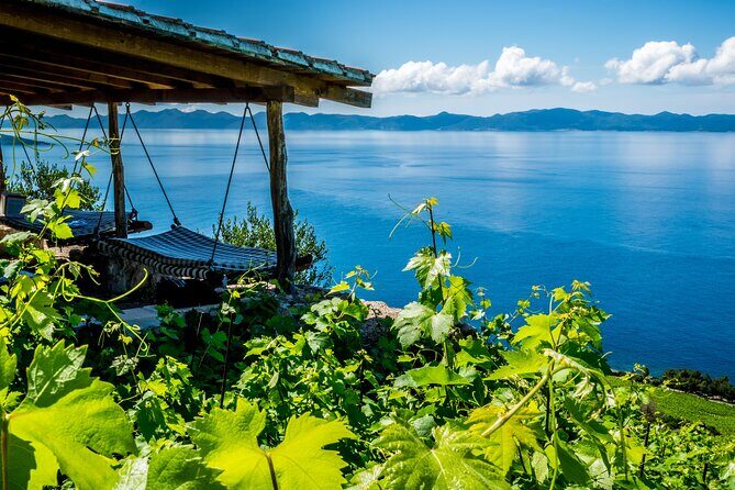 Peljeac private Wine Tour - wine and food pairing - Stop 2: Ston — A Walk Through History