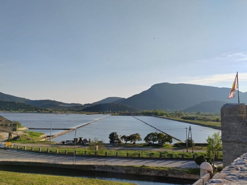 Peljeac: Ston walking tour + wine & food tasting - Wine & Food Tasting Experience