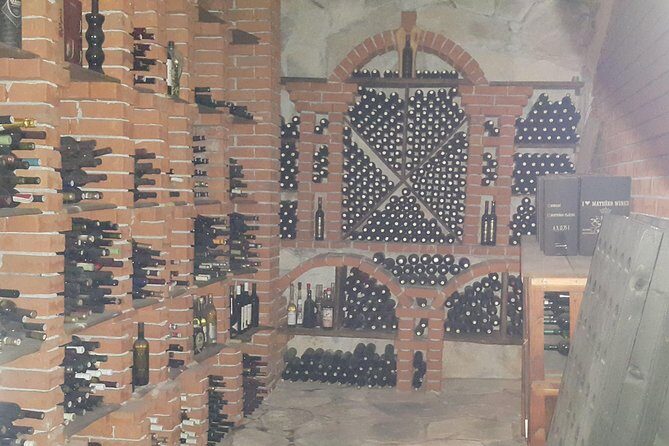 Peljeac Wine, Beach and Lunch - Relaxing Tour from Dubrovnik - Who Should Consider This Tour?