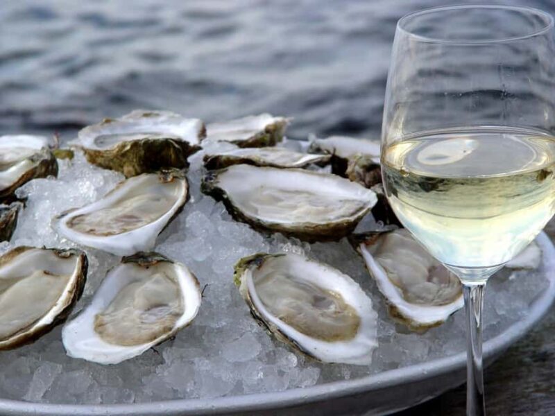 Peljeac Wine & Oyster Tasting Private Tour - The Sum Up