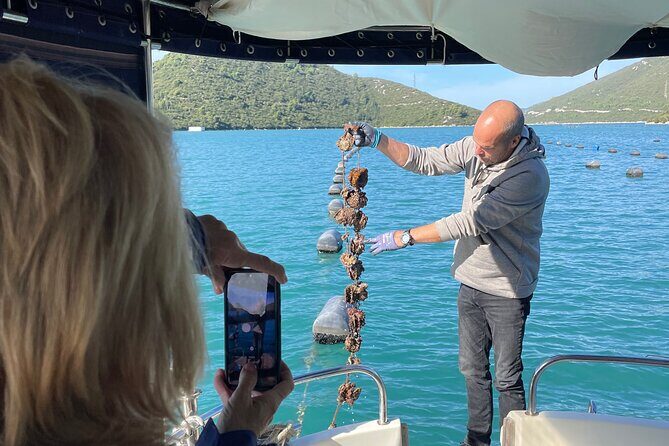 Peljeac - Wine, Oysters and Food Experience from Dubrovnik - Visiting the Family Winery: Savoring Croatian Wines