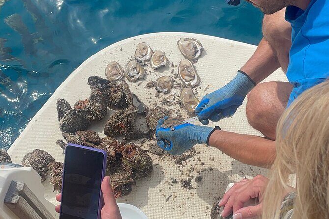 Peljeac - Wine, Oysters and Food Experience from Dubrovnik - Who Should Consider This Tour?