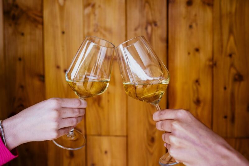 Peljeac wine tasting and local winery visit - The Experience Itself: From Arrival to Tasting