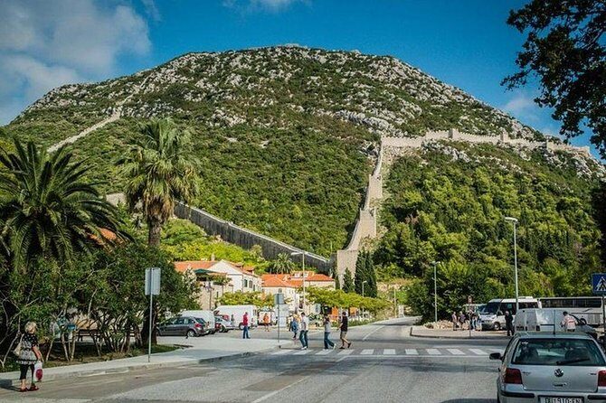 Peljesac peninsula private wine tour from Dubrovnik - The Practicalities: What You Should Know
