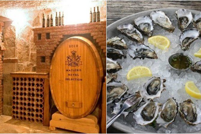 Peljesac Peninsula Wine Tasting Luxury Tour from Dubrovnik - The Details of the Peljesac Peninsula Wine Tasting Luxury Tour