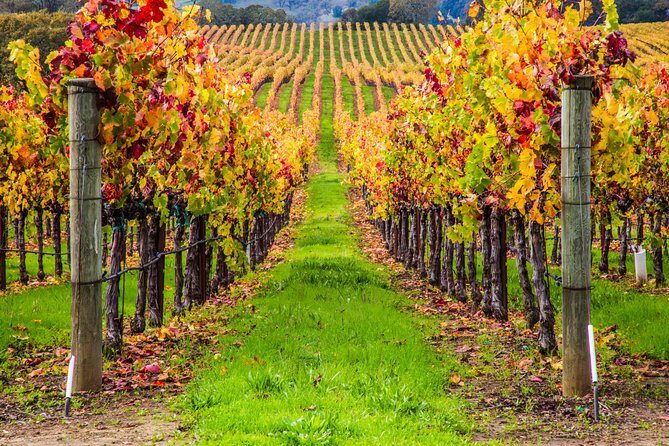 Peljesac Peninsula Wine Tasting Luxury Tour from Dubrovnik - FAQs