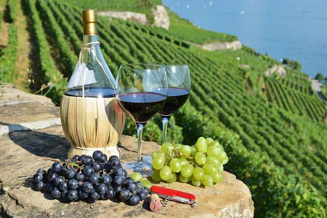Peljesac Vineyards & Oysters - Private Day Trip from Dubrovnik-Mercedes Vehicle - A Deep Dive into the Peljesac Experience