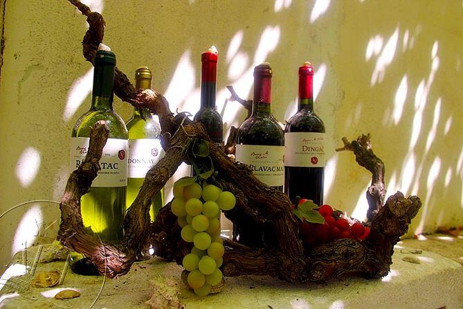 Peljesac Vineyards & Oysters - Private Day Trip from Dubrovnik-Mercedes Vehicle - The Sum Up