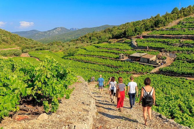 Peljesac&Ston Small-Group Food & Wine Experience from Dubrovnik - Why This Tour Excels