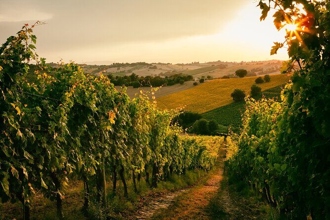 Peloponnesian Delights: Nemea Wines & Nafplio's Beauty - Exploring the Day in Detail