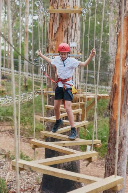 Pemberton: 1 Hour Explorer Pass with Ziplines and High Ropes - Key Points