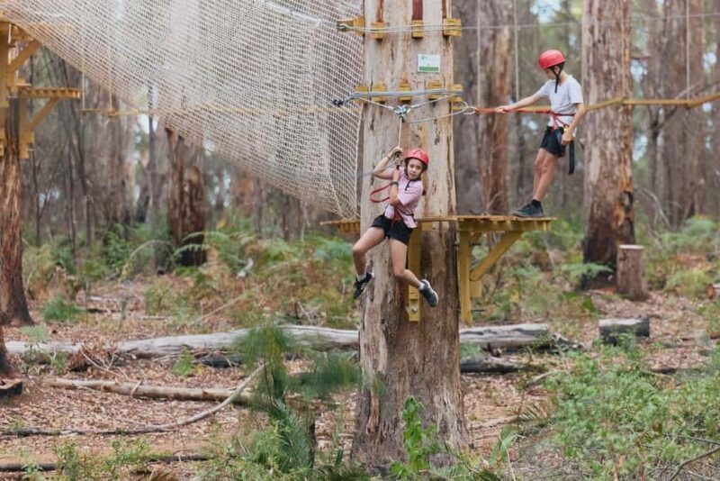 Pemberton: 1 Hour Explorer Pass with Ziplines and High Ropes - Who Will Love This Experience?