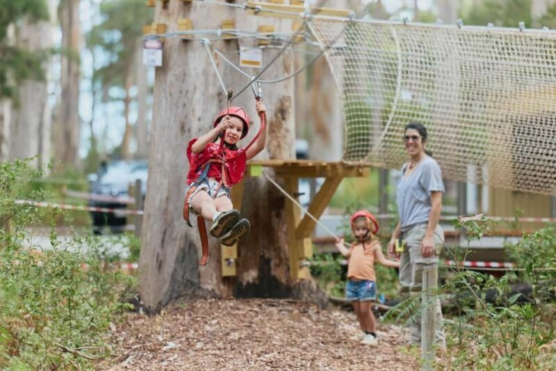 Pemberton: 40 minute Kookies Pass with Zip Lines & Low Ropes - A Detailed Look at the Pemberton Kookies Pass Experience