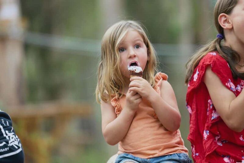 Pemberton: 40 minute Kookies Pass with Zip Lines & Low Ropes - The Sum Up