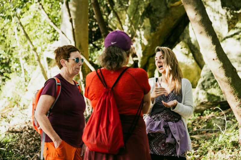 Pena Palace, Moorish Castle,Quinta ad Regaleira:Walking tour - Exploring Sintra in Detail: Pena Palace, Moorish Castle, and Quinta da Regaleira on a Guided Walking Tour