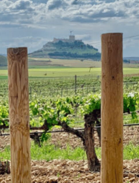 Peñafiel . Visita privada Castillo y casco Histórico - What does this tour mean for you?