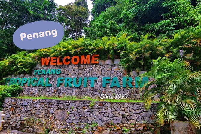 Penang Airport Transfer - Who Should Consider This Transfer?