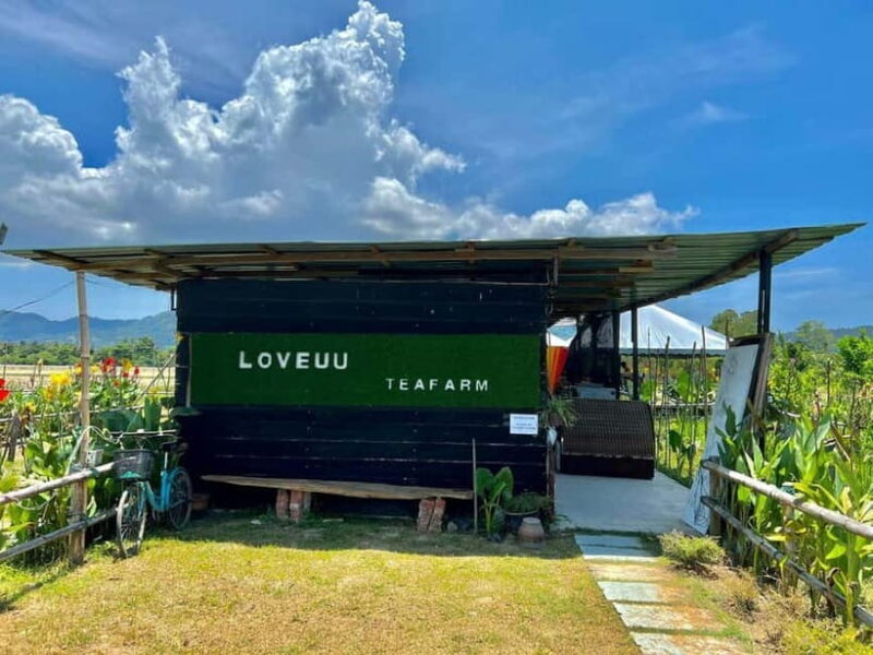 Penang: ATV Ride in Balik Pulau with Snacks and Transfers - Authentic Local Flavors and Scenery