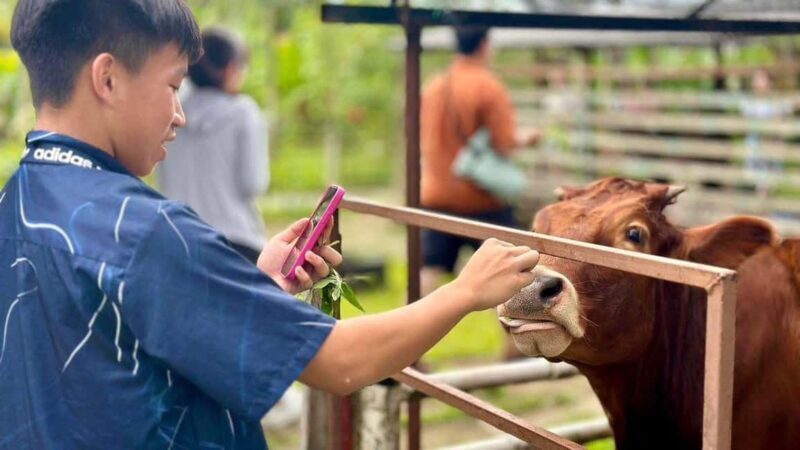 Penang: Balik Pulau Batik Painting & Mini Zoo Petting - FAQ