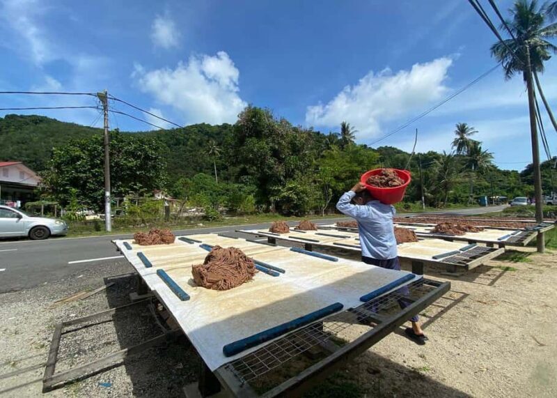 Penang: Balik Pulau Culture Experience & Village Tour - The Guided Experience