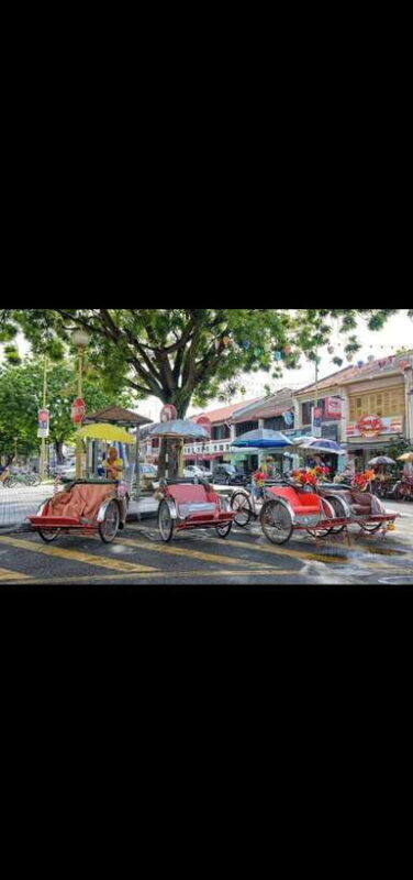Penang: Penang Island Full-Day Private Tour - Who Will Love This Tour?