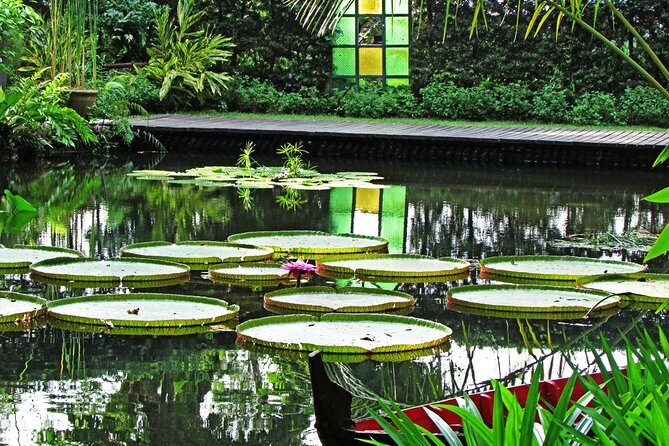 Penang Round Island Tour With Tropical Spice Garden & Entopia Butterfly Farm - Who Is This Tour For?