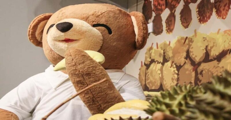 Penang: Teddyville Museum Entry Ticket - Cultural and Historical Insights