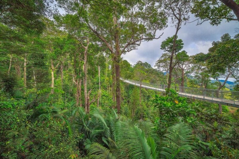 Penang: The Habitat Penang Hill Entry Ticket - Who Would Enjoy This Tour?