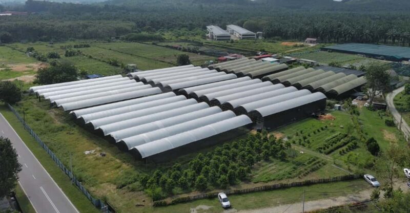 Penang: The Vanilla Village Farm Tour by Kairos - The Value of the Vanilla Village Experience