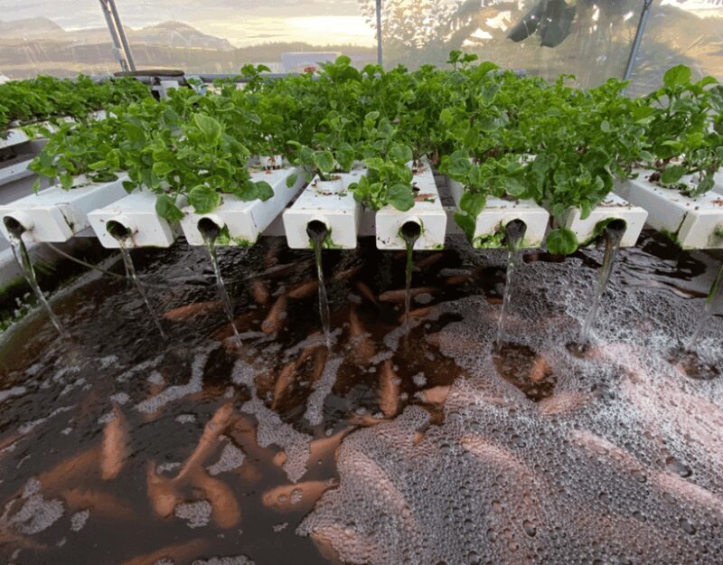 Penang: The Vanilla Village Farm Tour by Kairos - Final Thoughts