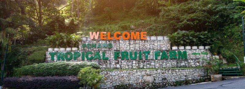 Penang: Tropical Fruit Farm Ticket - Final Thoughts