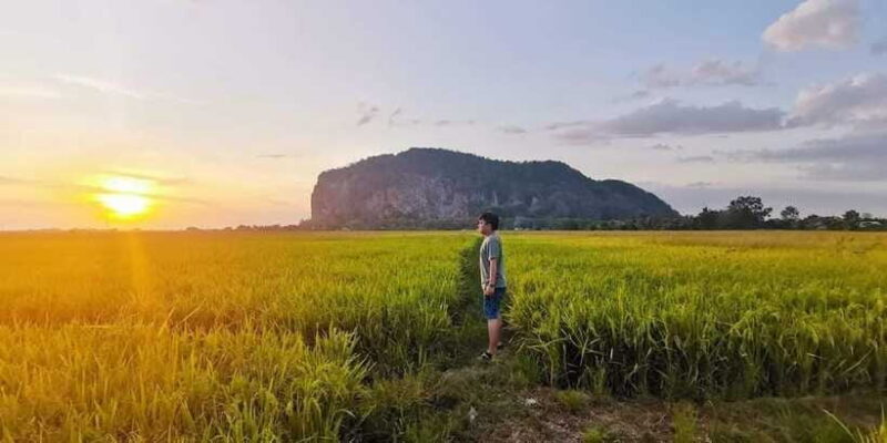 Penang:Full-Day Tour to Kedah with Local Guide and Driver - Final Thoughts: Who Will Gain the Most?