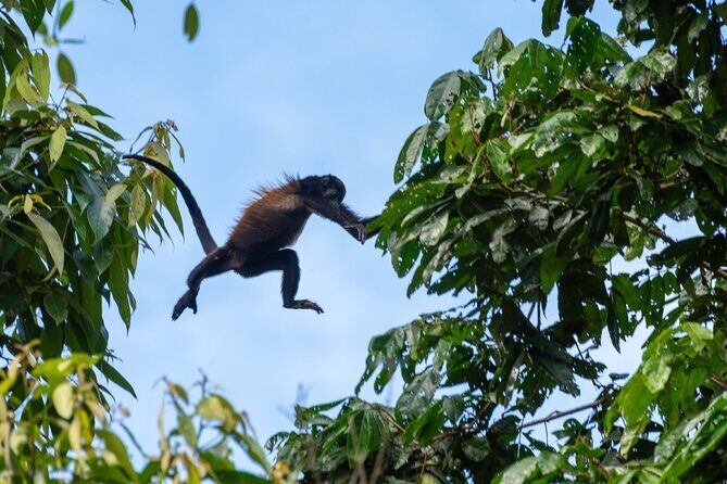 Peñas Blancas River Safari Float - A Deep Dive into the Peñas Blancas River Safari Float
