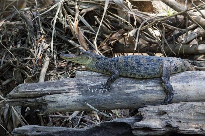 Peñas Blancas River Safari Float - Frequently Asked Questions