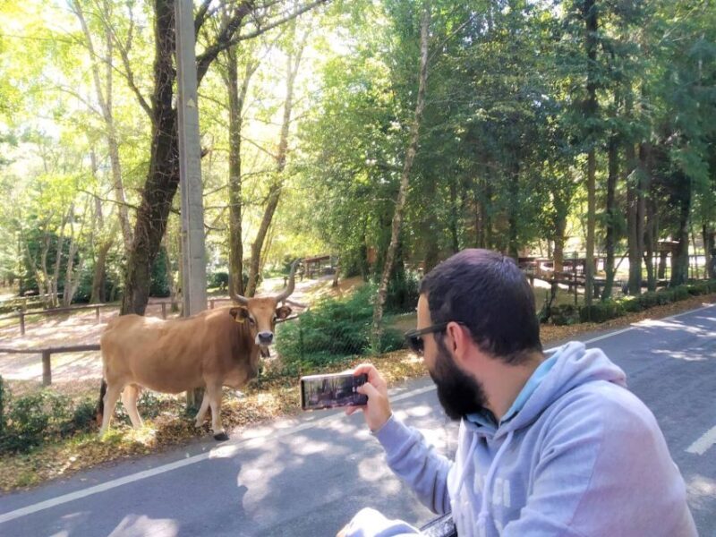 Peneda-Gerês: Full-Day Premium Tour - The Sum Up