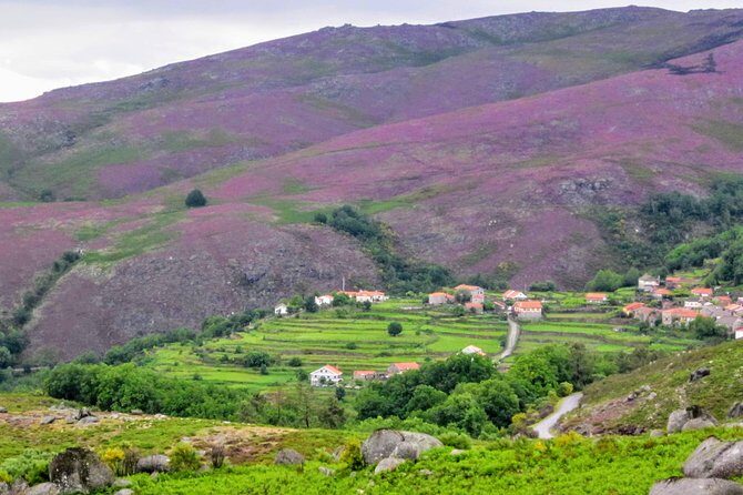 Peneda-Gerês Hiking & Sightseeing: Private Experience - Key Points