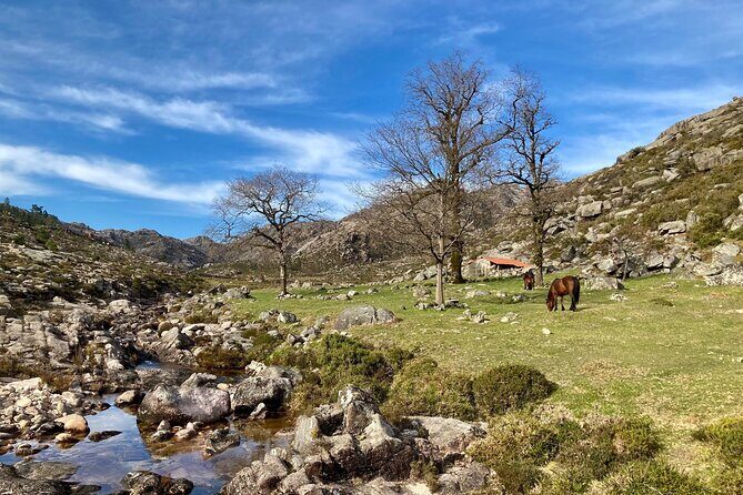 Peneda-Gerês Hiking & Sightseeing: Private Experience - FAQ