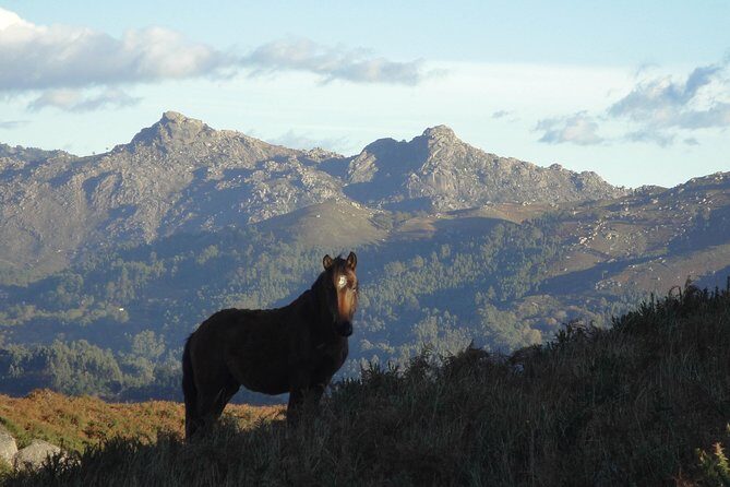 Peneda-Gerês National Park - A Time Travel Through The Mountains - - FAQ