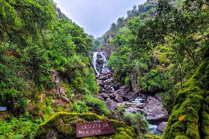 Peneda - Gerês National Park Lagoons and Waterfalls Tour - A Deep Dive into the Peneda-Gerês Lagoons and Waterfalls Tour