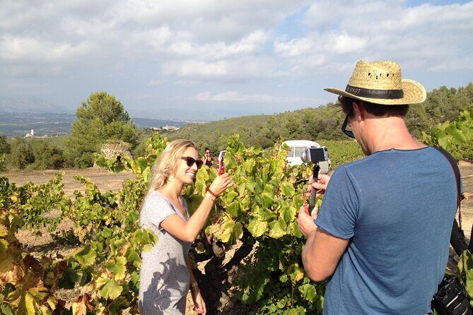 Penedes and Cava Winery Small Group Tour - Why This Tour Offers Great Value