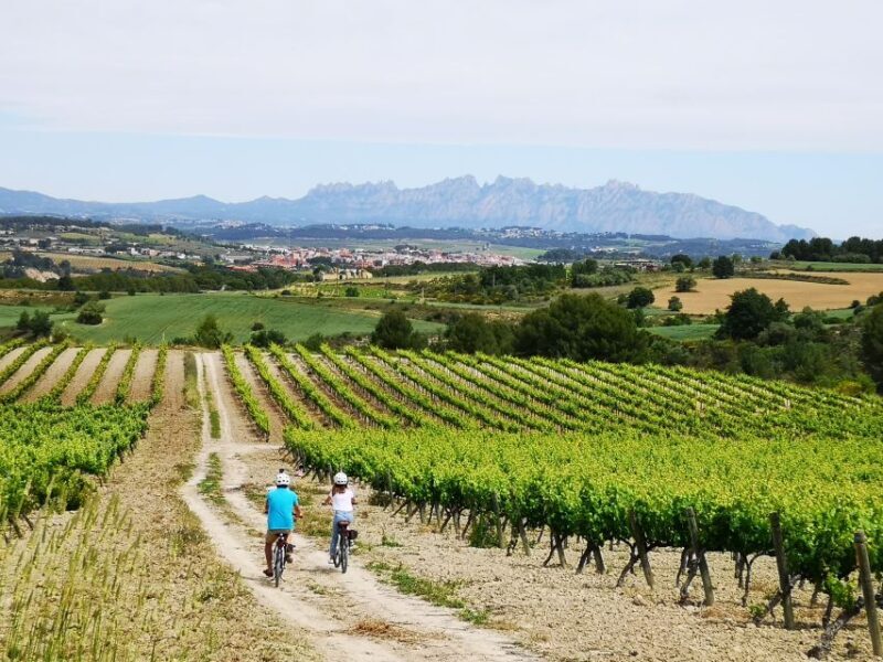 Penedès/BCN: Self-Guided eBike Tour with guided Winery Visit - The Guided Winery Visit: A Hidden Gem