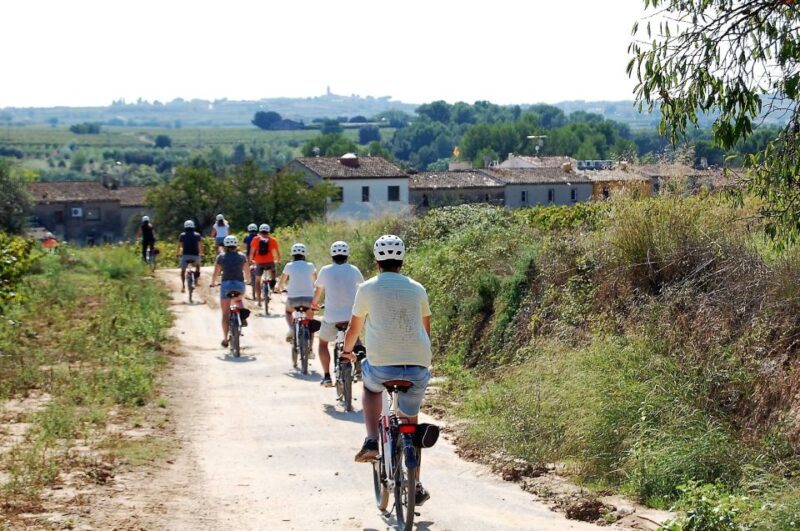 Penedès/BCN: Self-Guided eBike Tour with guided Winery Visit - Returning to Barcelona: A Smooth Finish