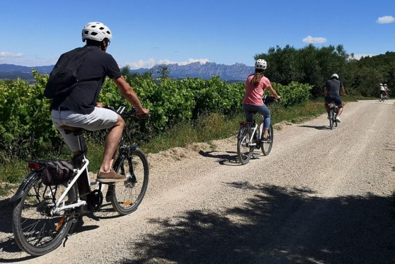 Penedès/BCN: Self-Guided eBike Tour with guided Winery Visit - Final Thoughts: Is It Worth It?
