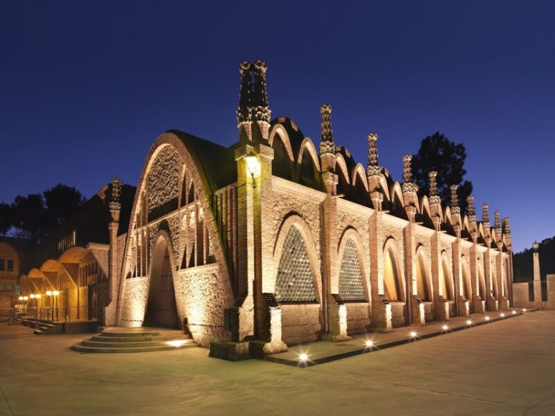 Penedès: Discovery Tour with Cava Tasting - Key Points