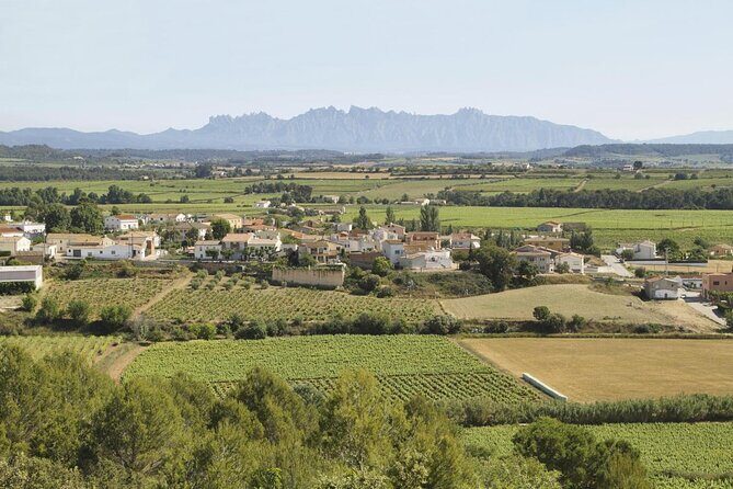 Penedes Wine & Cava Tasting & 4WD Vineyards Tour from Barcelona - Exploring Spain’s Penedès: A Wine and Cava Adventure from Barcelona