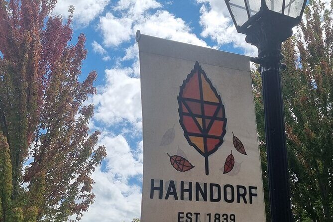 Penfolds and Hahndorf Shared Tour Wine Tasting and Lunch - A Deep Dive into the Tour Experience