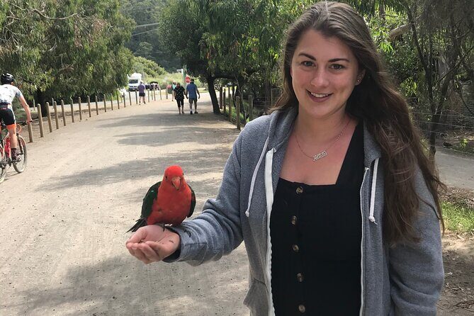 Penguin and Australian Animals Private Tour - The Sum Up